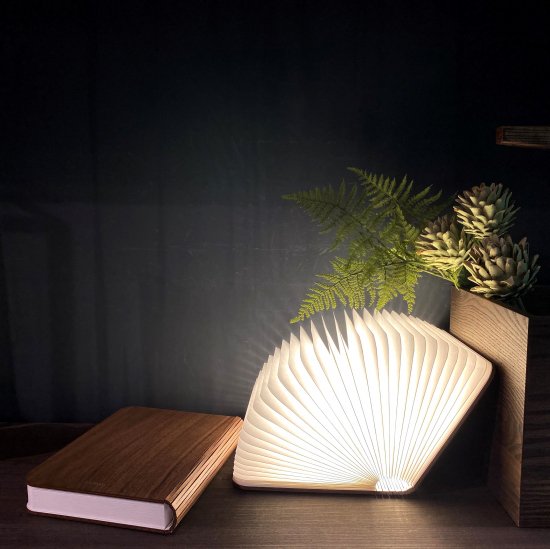 LUMIOSF  ウォルナット